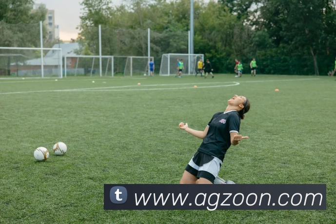 多媒体互动体验